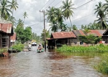 Aktivitas warga di Desa Pematang Sei Baru terganggu akibat banjir.