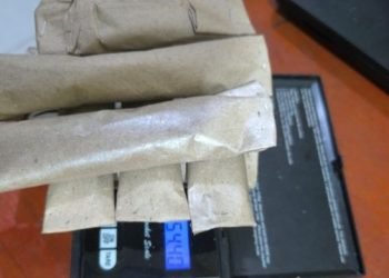 Barang bukti ganja yang diamankan Personel Polres Taput.