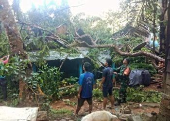 Pohon tumbang yang menimpa rumah warga akibat dari curah hujan deras disertai angin kencang di Desa Bair Kabupaten Tapteng.