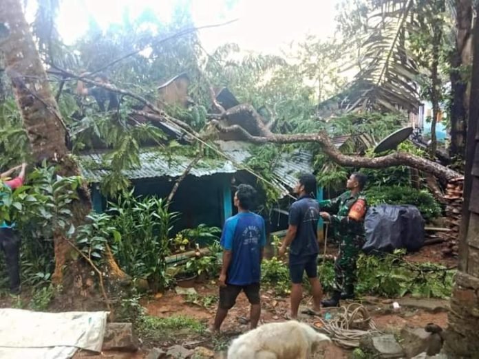 Pohon tumbang yang menimpa rumah warga akibat dari curah hujan deras disertai angin kencang di Desa Bair Kabupaten Tapteng.