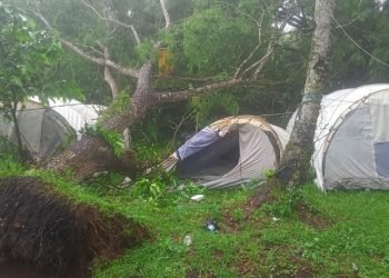 Ilustrasi perkemahan pramuka.