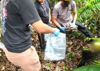 Penemuan kerangka manusia di Pintu Pohan Meranti.