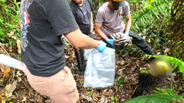 Penemuan kerangka manusia di Pintu Pohan Meranti.