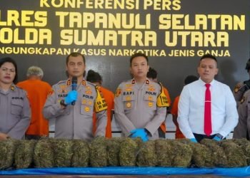Polres Tapsel saat merilis kasus pengungkapan 22 kg ganja. 