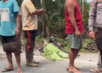 Kondisi pengendara sepeda motor ditutupi daun setelah mengalami kecelakaan.