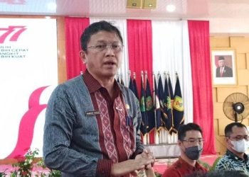 Ir Bambang Pardede MEng.