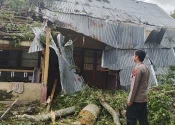 Penampakan pohon tumbang yang menimpa rumah dinas Polsek Parapat. 