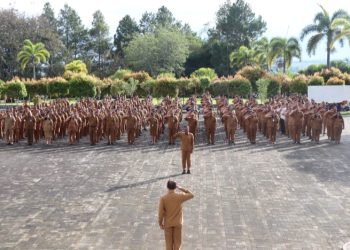 Wakil Bupati Toba Drs. Audi Murohy Sitorus. (IST)