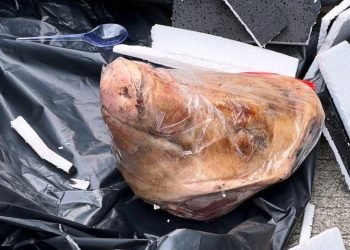 Menurut Hasan, teror kepala babi merupakan masalah Tempo dengan pihak lain. Pemerintah tidak mau dikaitkan dengan teror itu.