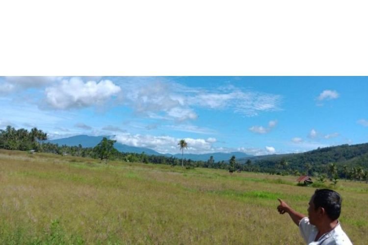 Hmparan sawah di di Desa Tatengger, Kecamatan Angkola Muaratais, Kabupaten Tapanuli Selatan.