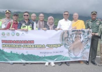 Wakil Presiden Direktur Ruli Tanio dan External Relations Sanny Tjan (ke-empat dan ke-enam dari kiri) foto bersama di pelepasan harimau Sumatra (Panthera tigris sumatrae) bernama "Senja" di kawasan konservasi Kedah, Taman Nasional Gunung Leuser Aceh. (IST)
