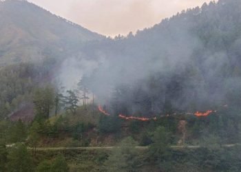 Karhutla di Samosir. 