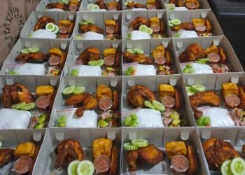 Ilustrasi nasi kotak.