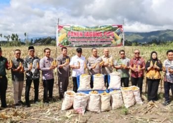 Wawako Padangsidimpuan Harry Pahlevi, Kapolres dan jajaran Forkopimda foto bersama usai pemetikan jagung sebagai pertanda dimulainya panen raya di Padangsidimpuan. (IST)