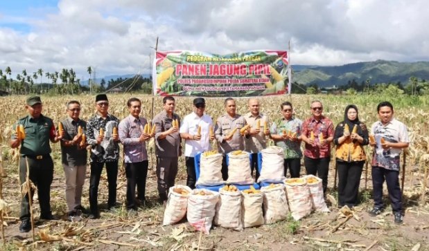 Wawako Padangsidimpuan Harry Pahlevi, Kapolres dan jajaran Forkopimda foto bersama usai pemetikan jagung sebagai pertanda dimulainya panen raya di Padangsidimpuan. (IST)