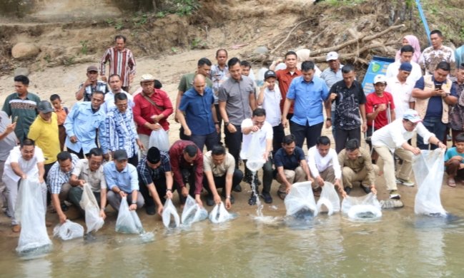 Bupati Tapsel Gus Irawan Pasaribu, Wakil Ketua DPRD Abdul Basith Dalimunthe bersama masyarakat Pargarutan Julu menebar benih ikan program Bupati 1.000 kolam. (IST)