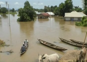 Korban tewas banjir di Nigeria bertambah, total menjadi 151 orang.