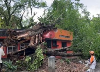 Angin kencang sempat buat geger warga Medan hari ini. Kondisi ini sempat mengakibatkan terjadinya pohon tumbang. 