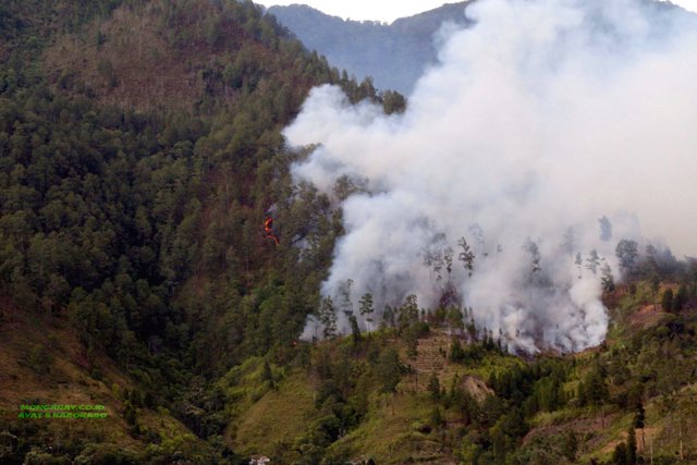 Kebakaran hutan di perbukitan kawasan Danau Toba.