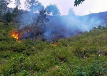 Kebakaran lahan di kawasan Danau Toba.