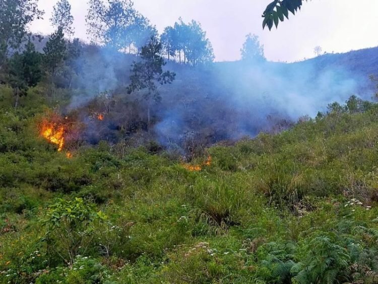 Kebakaran lahan di kawasan Danau Toba.
