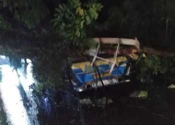 Mobil tertimpa pohon di Jalan Asahan Simalungun.
