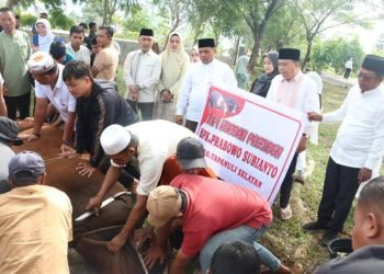 Wakil Bupati Tapsel Jafar Syahbiddin Ritonga menyaksikan penyembelihan hewan kurban bantuan Presiden RI Prabowo Subianto. (IST)