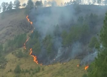Kebakaran hutan di kawasan Danau Toba belum lama ini.