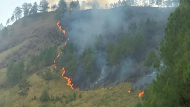 Kebakaran hutan di kawasan Danau Toba belum lama ini.