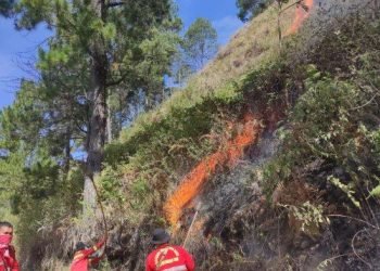 Tim gabungan saat memadamkan api di wilayah Desa Tongging.