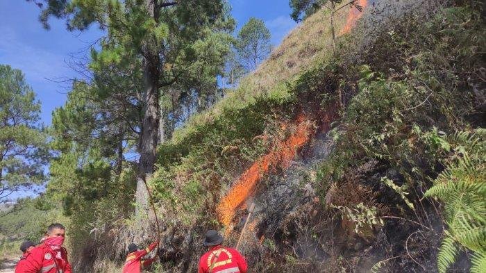 Tim gabungan saat memadamkan api di wilayah Desa Tongging.