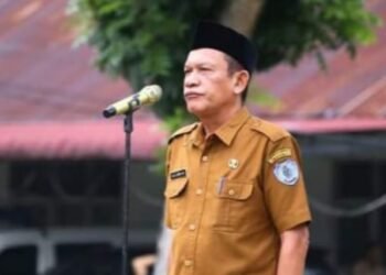 Kepala Dinas Lingkungan Hidup Kabupaten Labuhanbatu H Safrin Hasibuan. (Ist)
