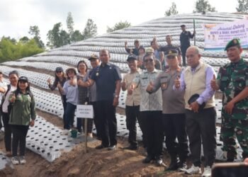 Tampak Wakil Bupati Audi Murphy Sitorus dan warga di Desa Sinar Sabungan saat penanaman bawang merah tanggal 16/10/2025. (IST)