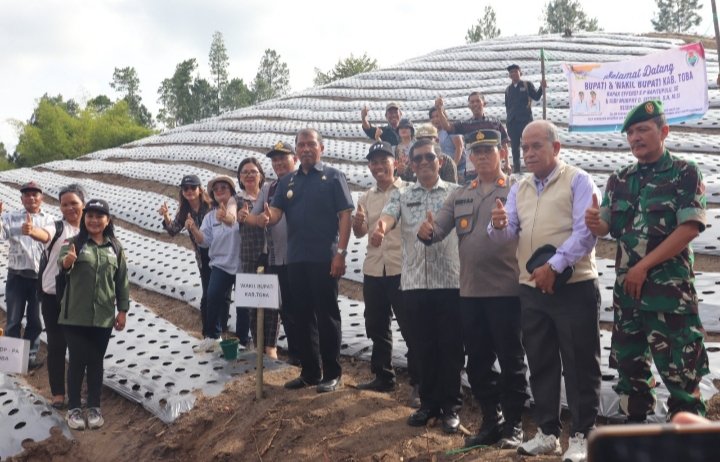 Tampak Wakil Bupati Audi Murphy Sitorus dan warga di Desa Sinar Sabungan saat penanaman bawang merah tanggal 16/10/2025. (IST)