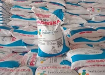 Pupuk bersubsidi Ponska. (Ist)
