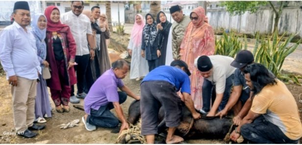 Anggota DPRD Padangsidimpuan yang ikut kurban melihat pelaksanakan penyembelih hewan kurban dalam rangka Hari Raya Idul Adha 1447 Hijriah di lingkungan kantor DPRD Kota Padangsidimpuan. (IST)