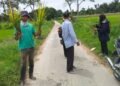 Petani menunjukkan padi yang terserang hama. (IST)