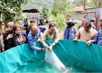 Bupati Tapsel Gus irawan Pasaribu didampingi Kadis Perikanan Saiful AP.Nasution melepas bibit ikan lele ke kolam bundar di desa situmba Sipirok. (IST)