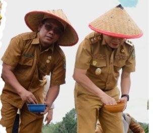 Wakil Bupati Tapsel Jafar Syahbuddin Ritonga bersama KTNA saat menanam jagung perdana di Desa Nanggar Jati Kecamatan Arse Kabupaten Tapsel. (IST)